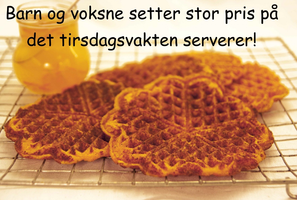 Dugnad - Tirsdagsvakt